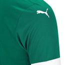 Camisa Palmeiras 25/26 I Home - Versão Torcedor
